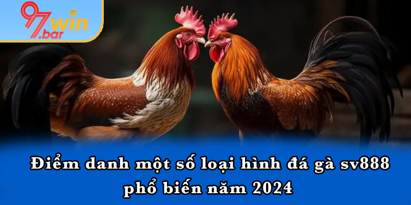 Điểm danh một số loại hình đá gà sv888 phổ biến năm 2024 